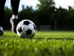 南宫娱乐,产品,南宫28NG娱乐官网,南宫28NG娱乐官网,南宫28NG娱乐官网在线娱乐平台