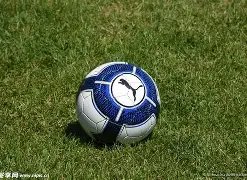 尤文换帅争,名宿离队争,议大,南宫28NG娱乐官网,南宫28NG娱乐官网在线娱乐平台