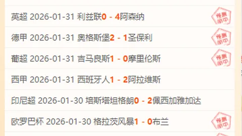 AC米兰在意甲比赛中击败科莫