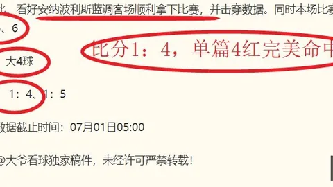 2026年来袭375亿，南宫娱乐App，巨资投资，史上最贵项目